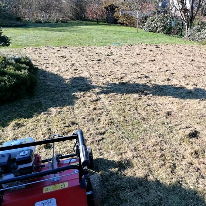 pielęgnacja_ogrodu_4