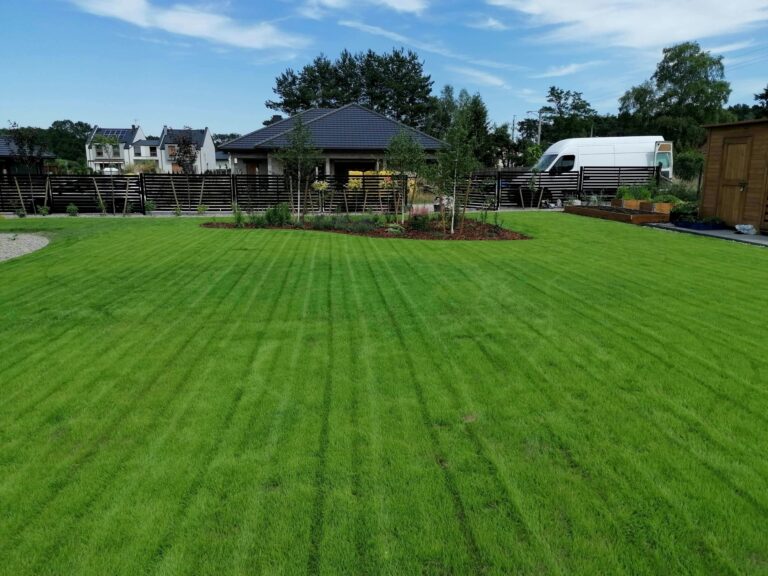 290101838_3171087033130115_5061840086641211838_n