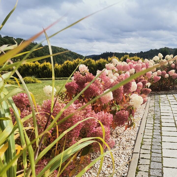 pielęgnacja_ogrodu_5