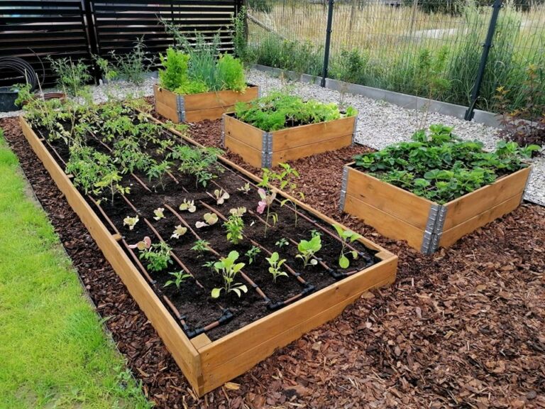 311350328_532906898839189_5117406529112236551_n