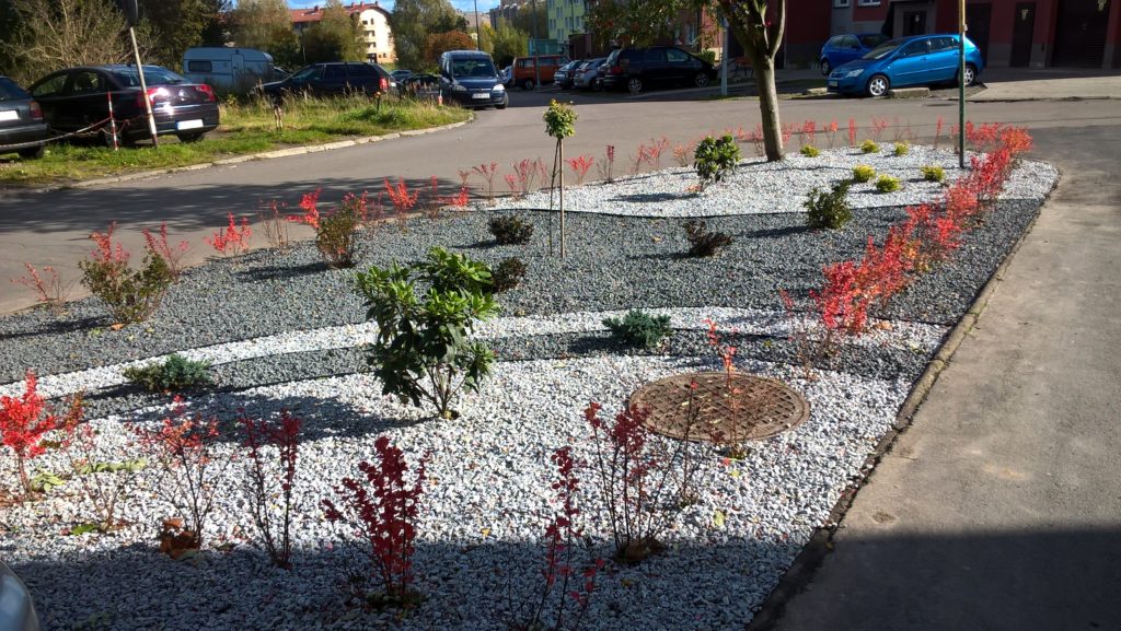 projekt_zieleni_miejskiej_9